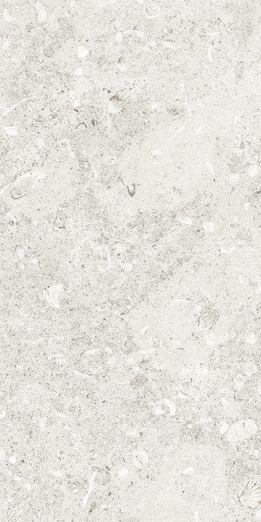 Sea Luster Bianca Matte 12 x 24